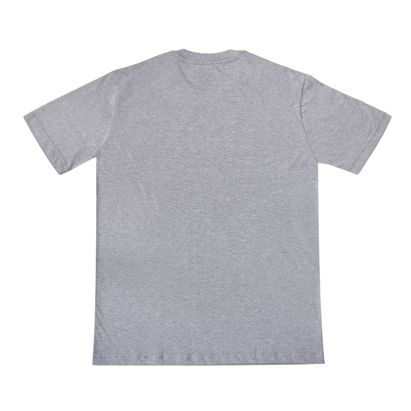 CAMISETA QIX SKATEBOARDS EXCEEDING THE BORDERS CLASSIC MESCLA