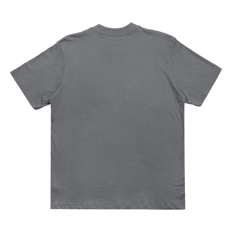 CAMISETA QIX STREET SKATE BEACH MESCLA